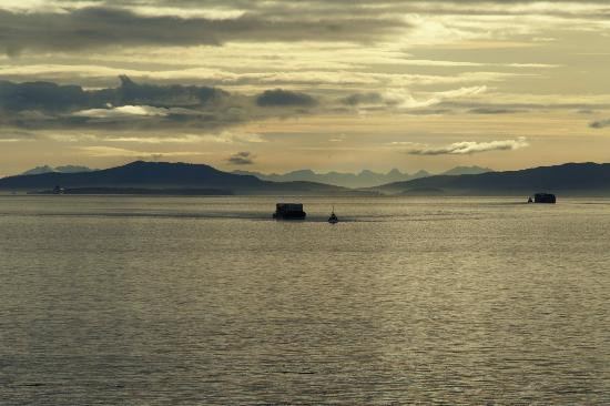 冰川湾-Glacier Bay National Park and Preserve必去景点