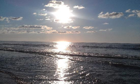 Chincoteague National Wildlife Refuge景点图片