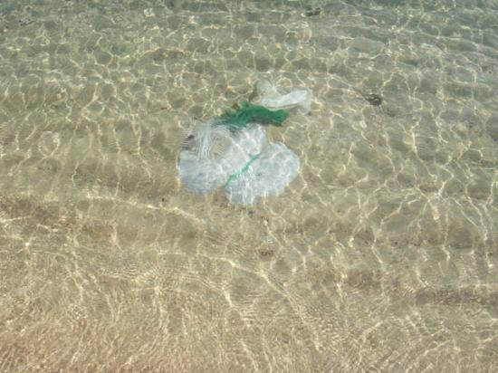 Hammamet Beach-哈玛麦德必去景点