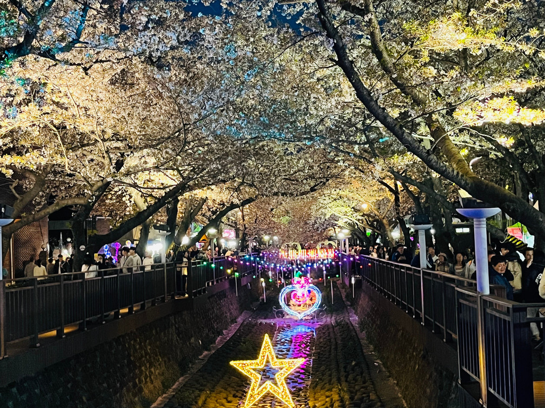 Yeojwacheon Romance Bridge-昌原市必去景点