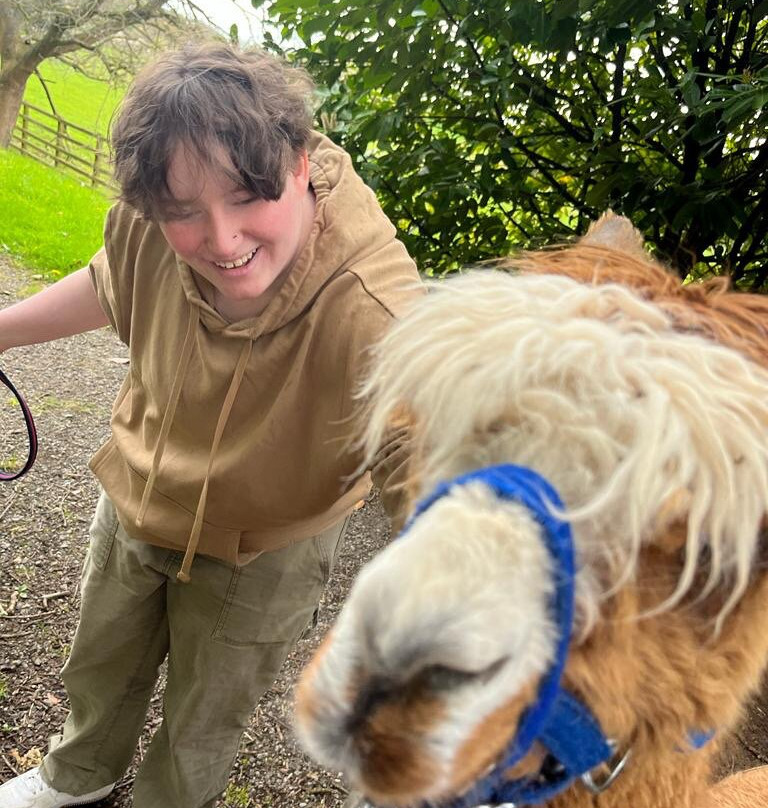 Oakmere Alpacas-Oakmere必去景点