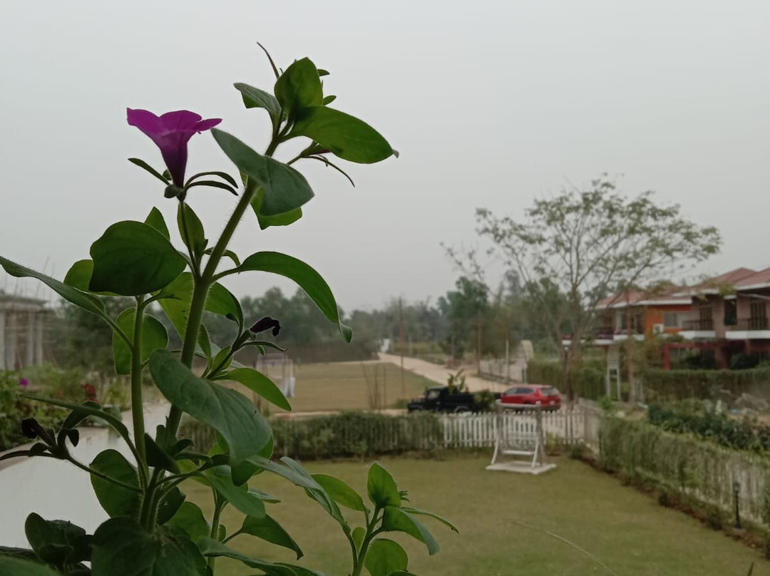 Kaalmegha Country Club & Resort主图