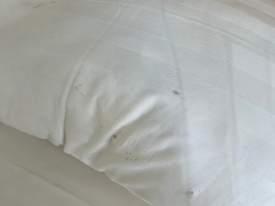 Padi Padi Canggu Luxury Room主图