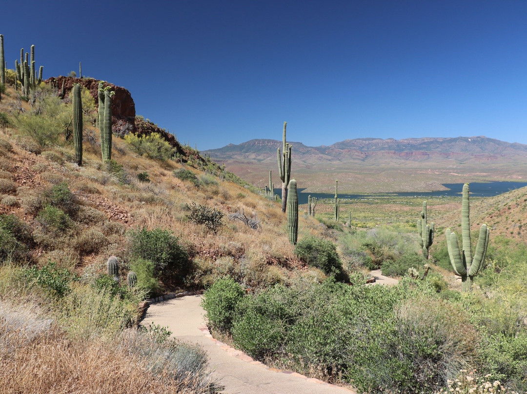 Tonto National Monument-Roosevelt必去景点