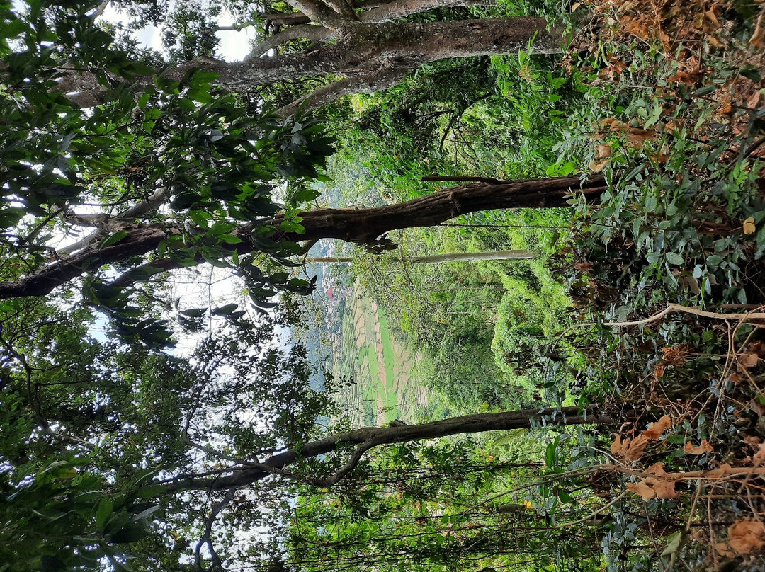 Kerta Gangga Waterfall-龙目岛必去景点
