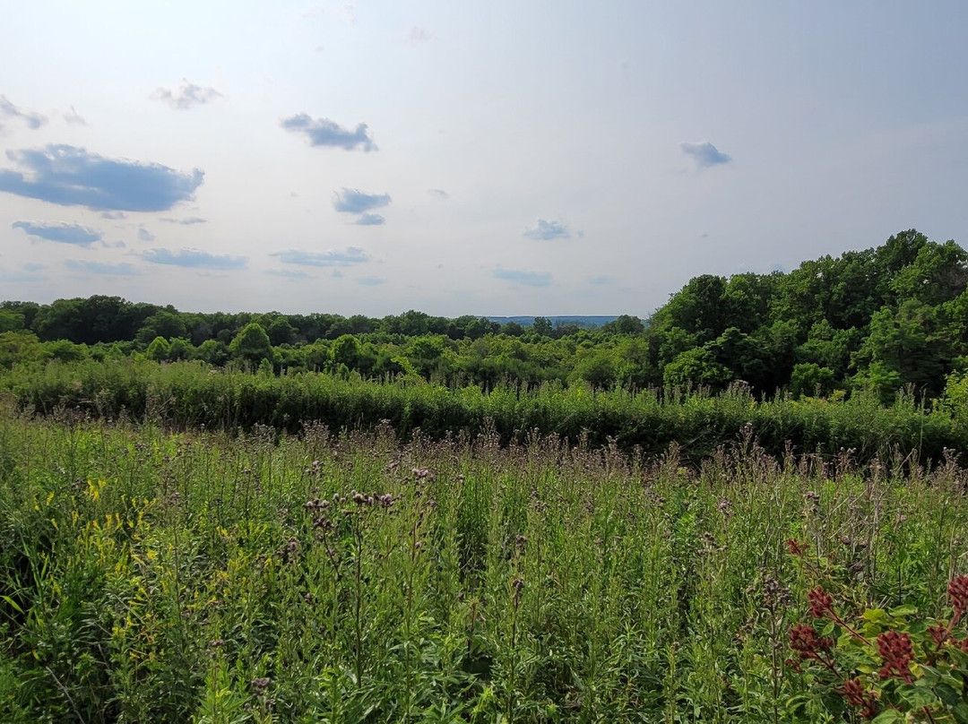 Clark Nature Preserve-Pequea必去景点