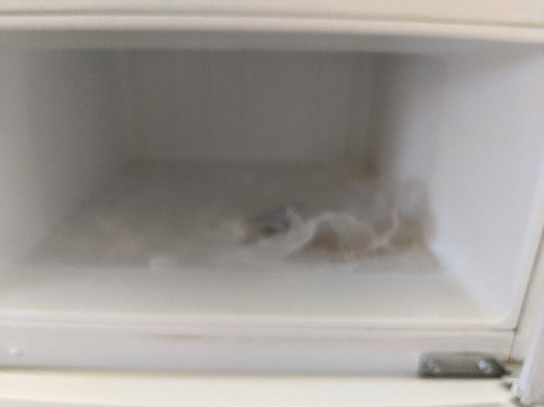 Town House Motel主图