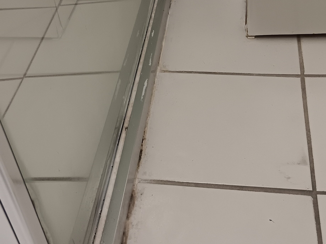 旧梅特兰酒店主图