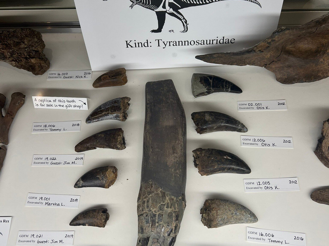 Glendive Dinosaur & Fossil Museum-Glendive必去景点