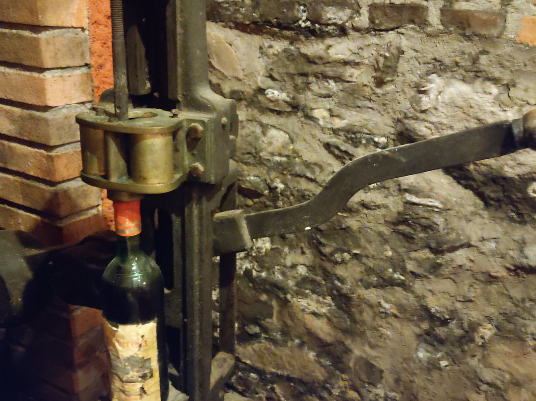 La Cantina Del Prufesur 1913