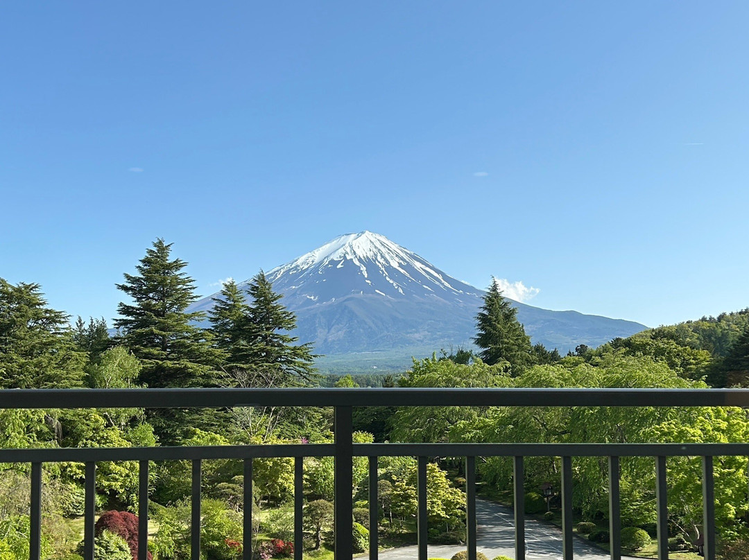 Fuji View Hotel Japanese Garden景点图片