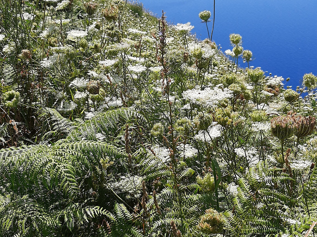 Hotel Presenza主图