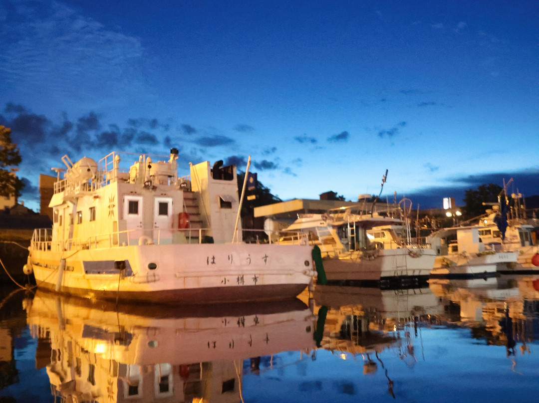 Otaru Canal Cruise景点图片