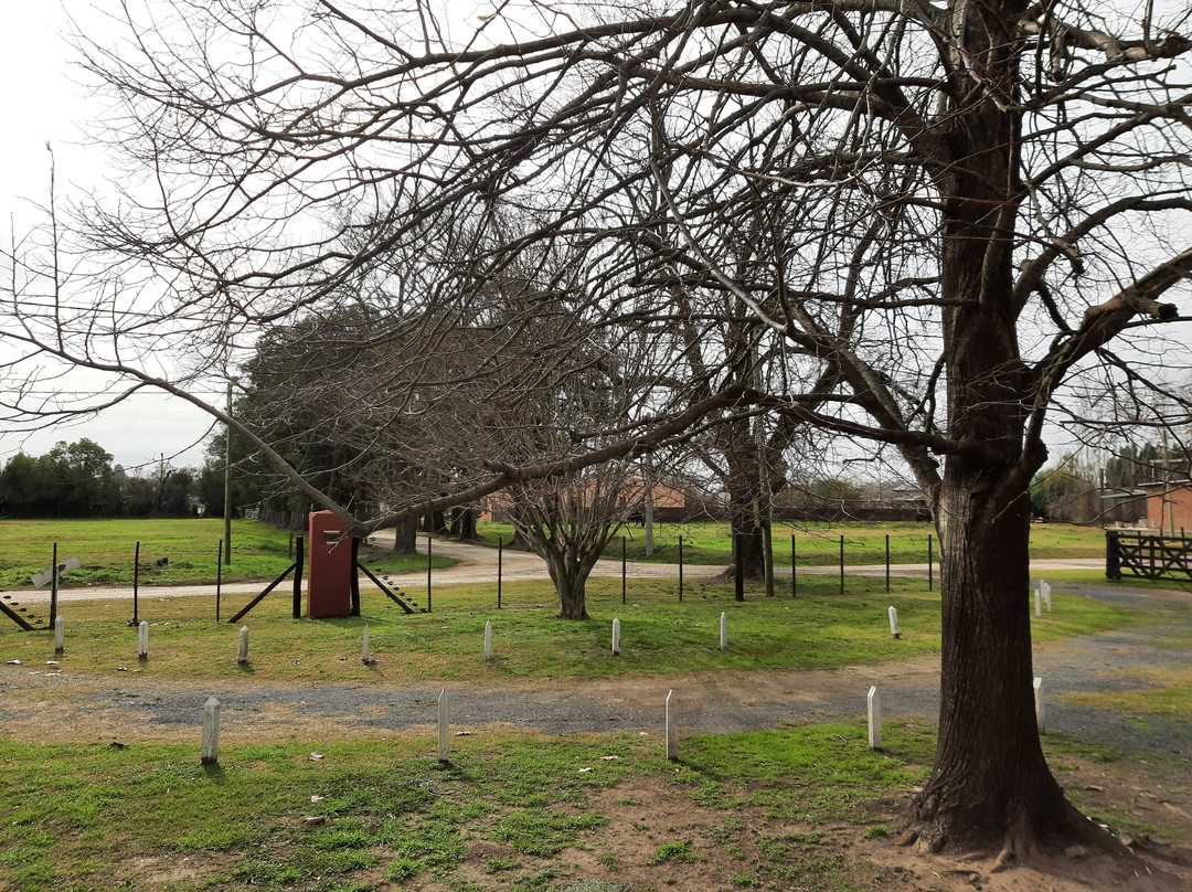 La Mancha Verde主图