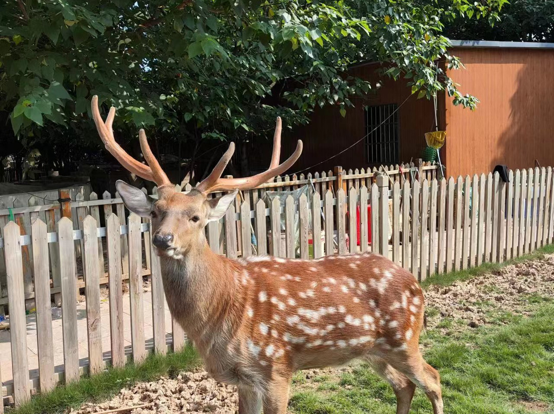 Yiwu Botanical Garden-义乌市必去景点