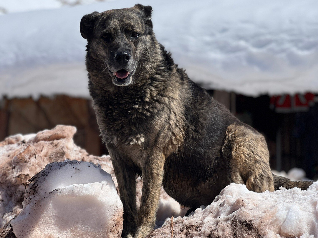 Camino del Inca-乌斯帕亚塔必去景点