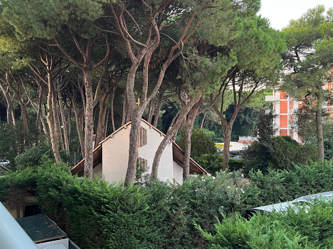 Eraclea Palace Hotel主图