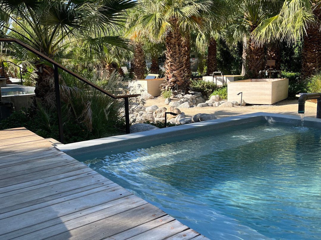 Two Bunch Palms主图