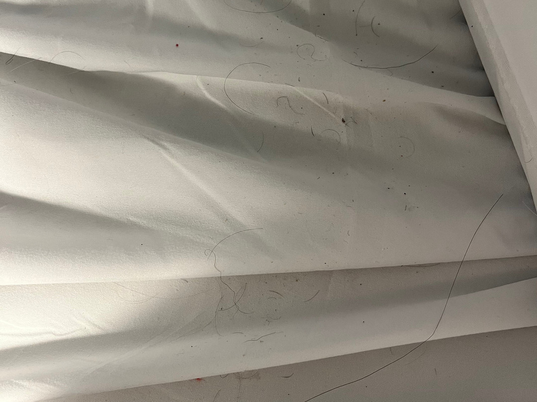 Hampton Inn By Hilton Greer Greenville主图