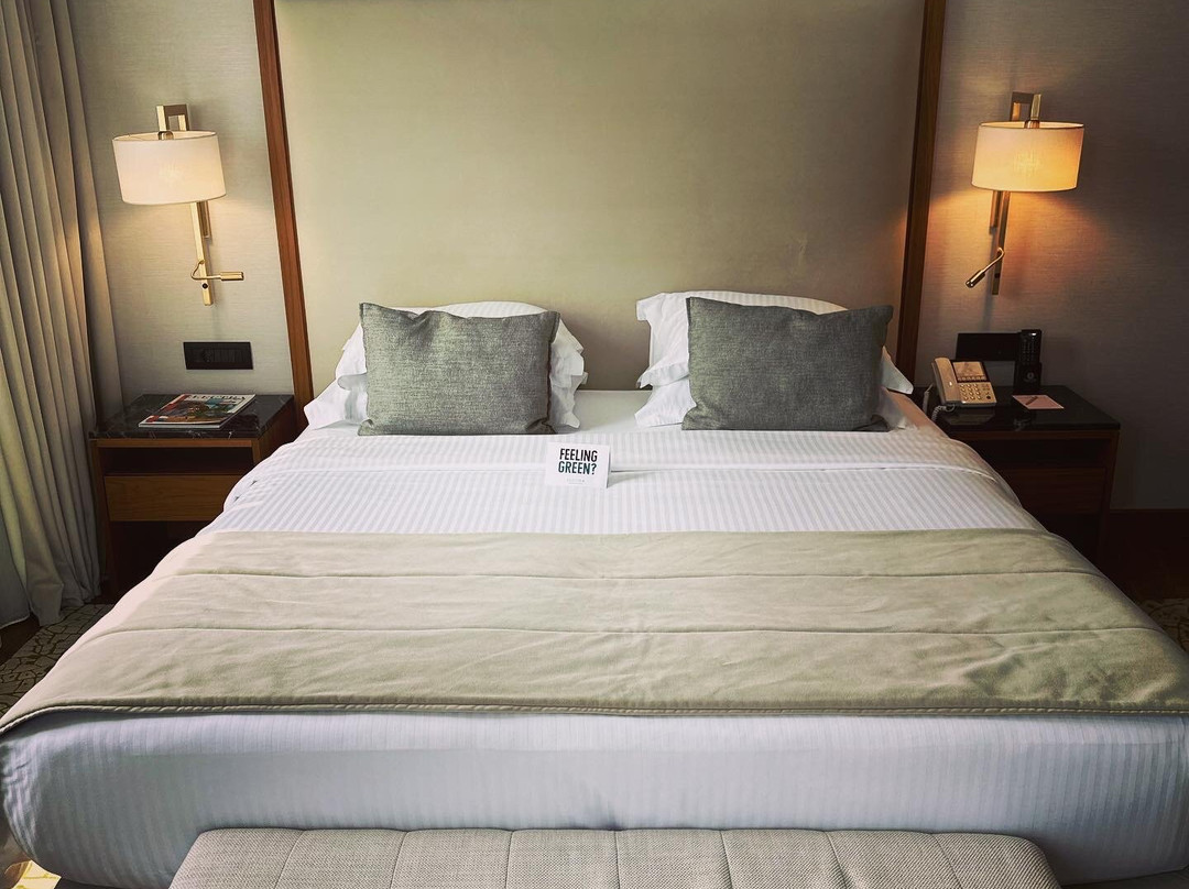 伊莱克特拉塞萨洛尼基宫殿酒店主图