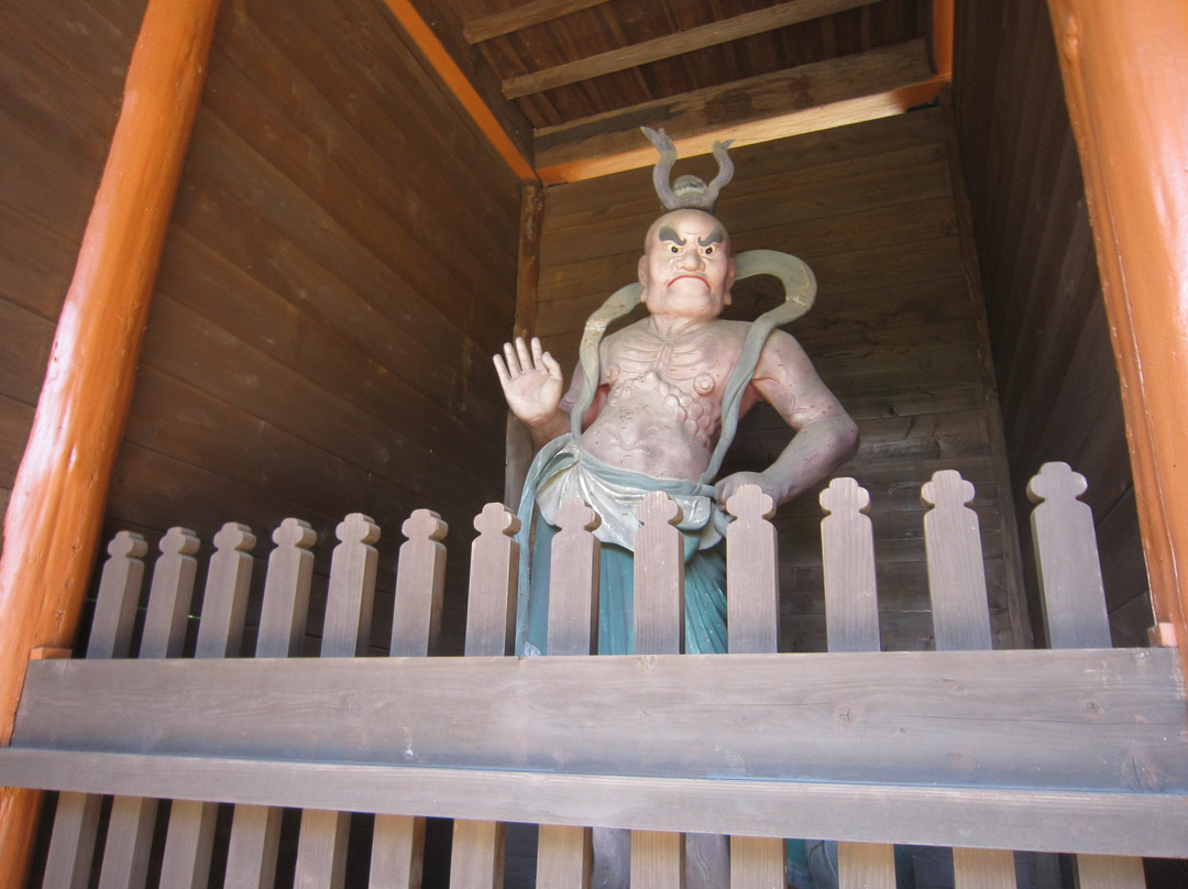 Gochi Kokubunji Temple景点图片