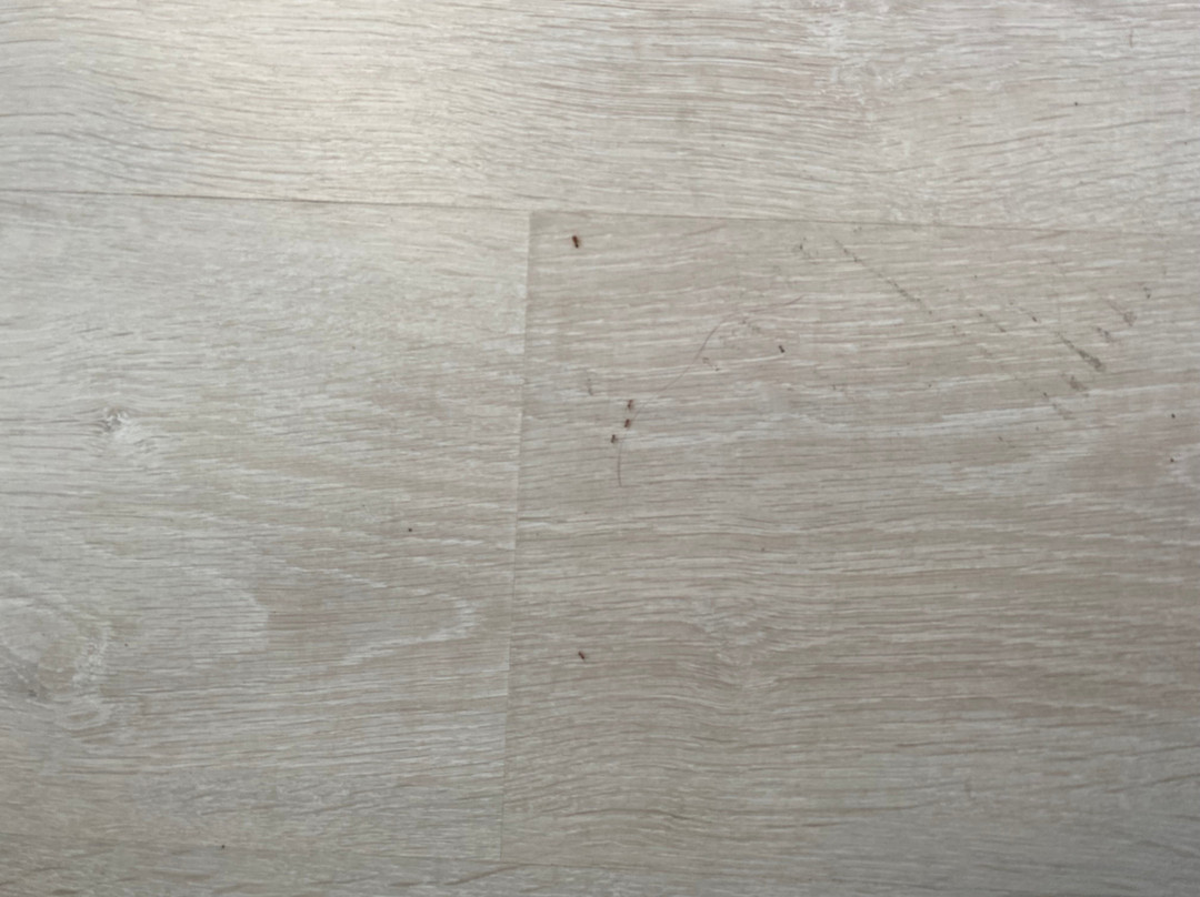 奥拉马约里酒店主图