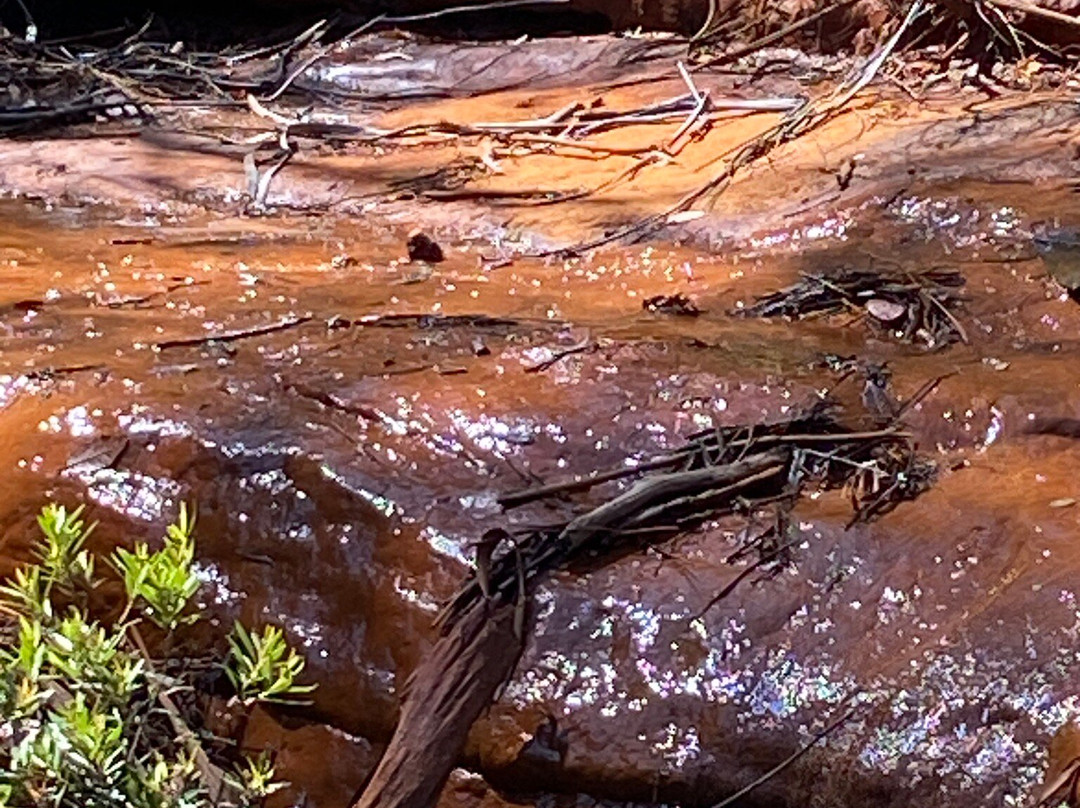 North Lawson Park景点图片