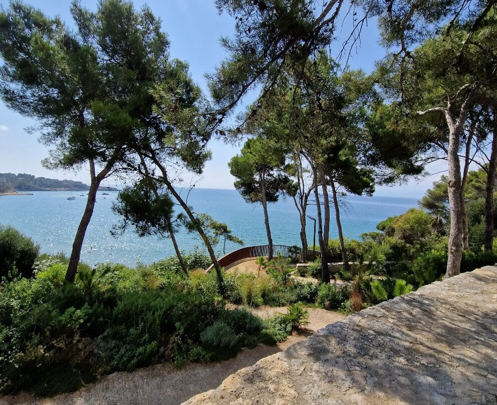 Llarga Beach景点图片