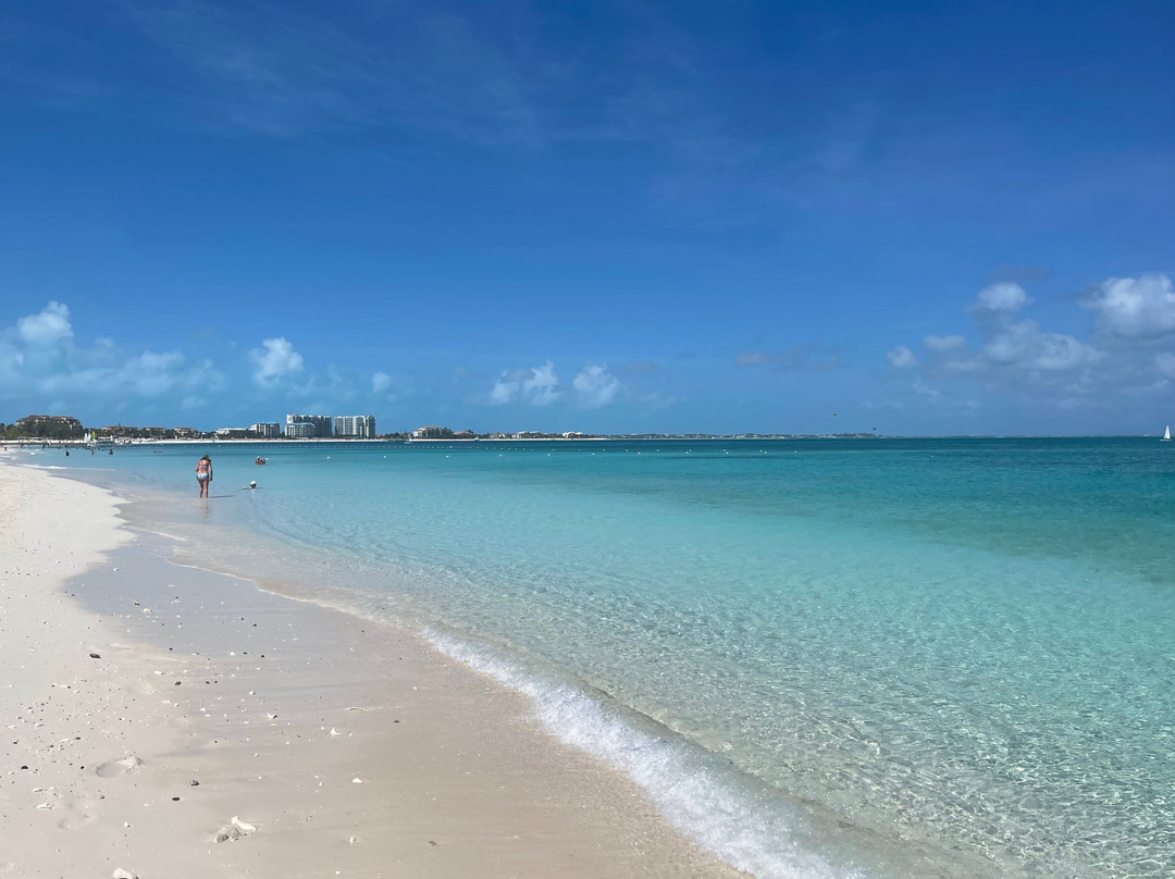 Ocean Club West主图