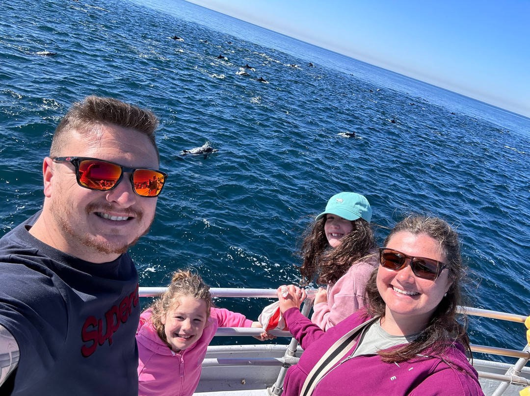Legacy Whale Watch-圣地亚哥必去景点