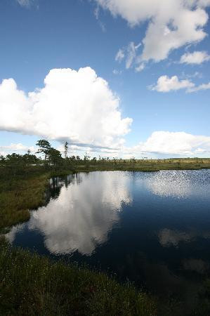 Wilderness Experiences in Soomaa National Park-派尔努必去景点