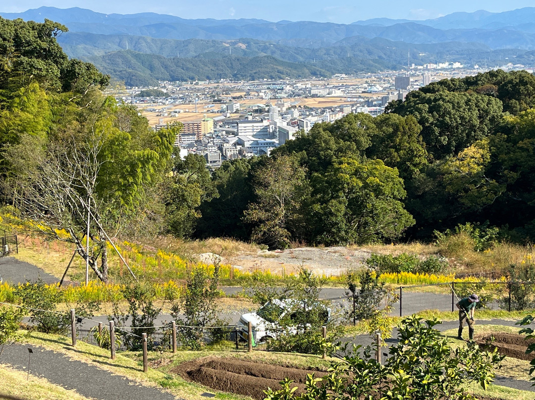 The Kochi Prefectural Makino Botanical Garden-高知市必去景点