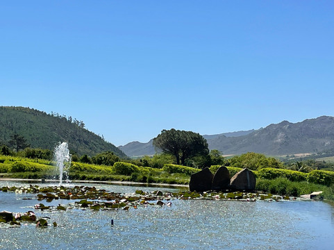 Mullineux & Leeu Family Wines-法兰舒克必去景点