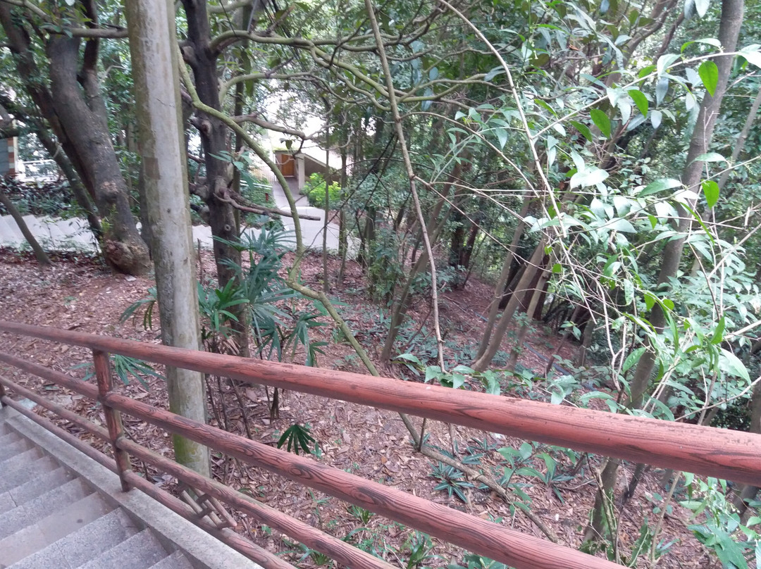 梧州白云山公园景点图片