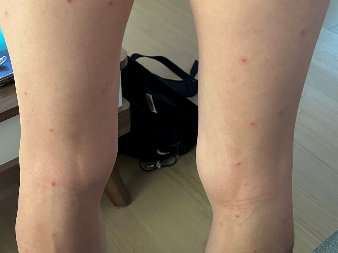 波多黎各盛美利亚高尔夫度假村主图