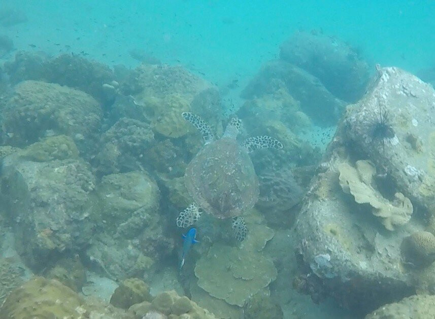 Paradise Divers Koh Kood景点图片