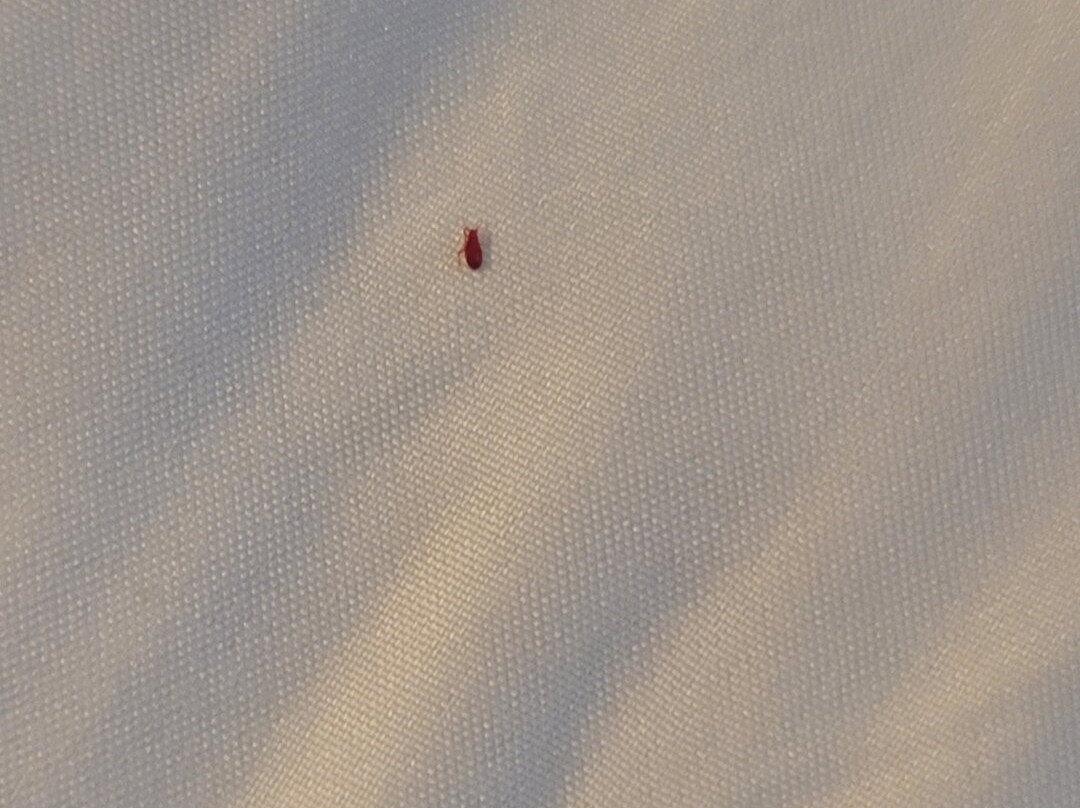 Quality Inn Selah North Park主图