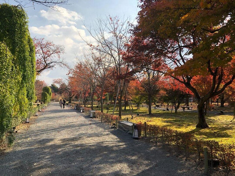 Memory Kyoto Bike Tour-京都市必去景点