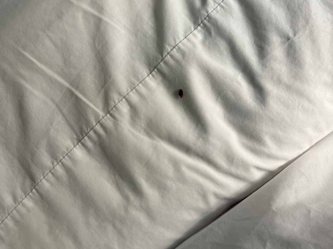 Hampton Inn & Suites Ft. Lauderdale West-sawgrass/tamarac主图