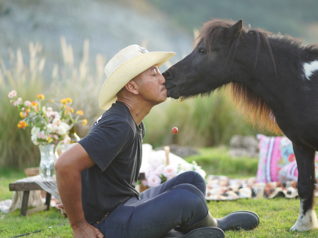 Pong Horse Park-Baan Pong必去景点