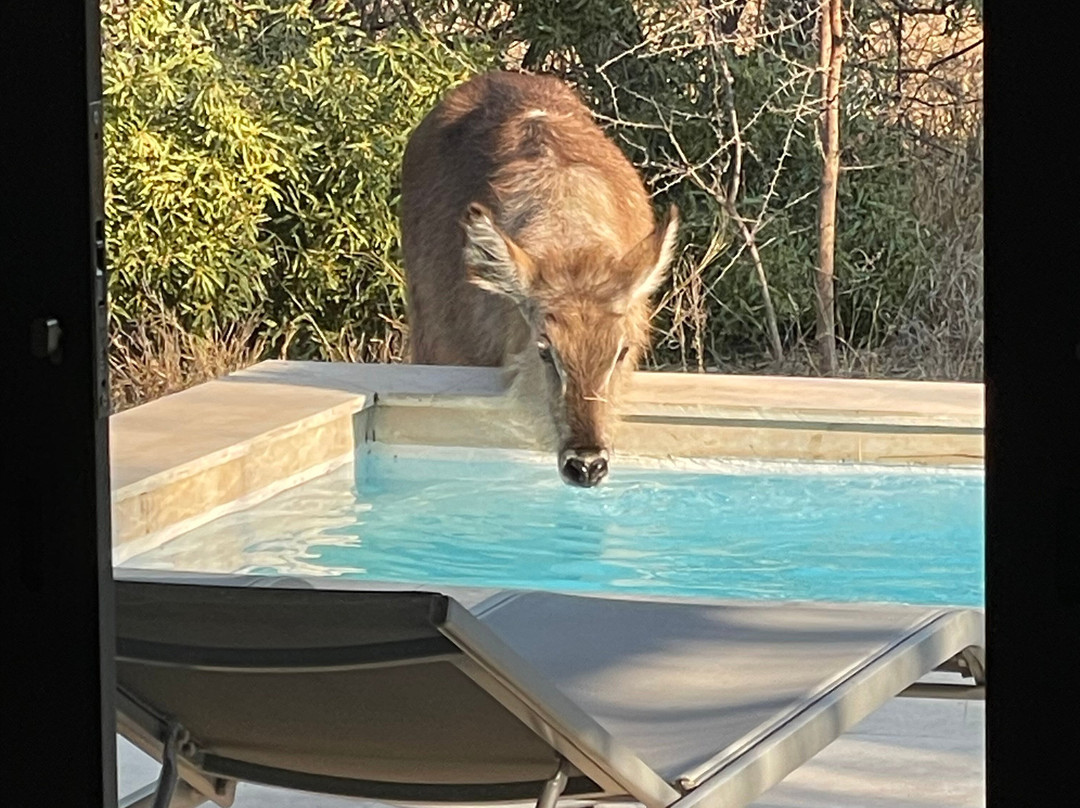 卡帕玛南营山林小屋主图
