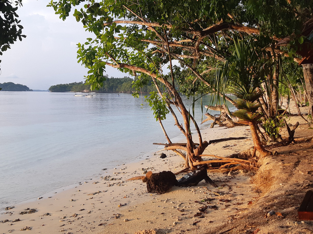Raja Ampat Biodiversity Nature Resort主图