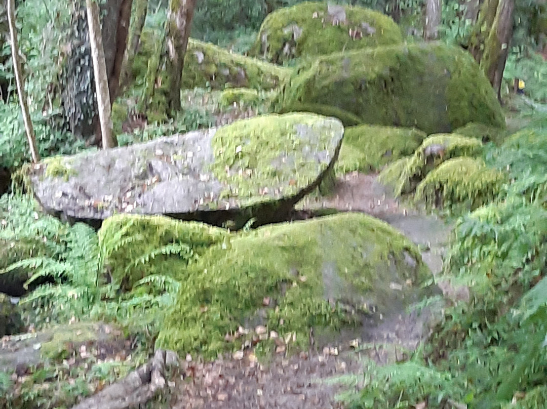 Parc des Parelles-Crevant必去景点