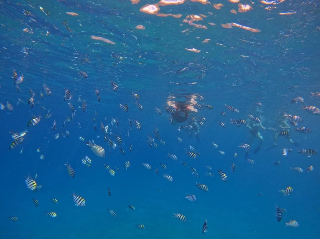 Mahina Hawaii-哈雷瓦必去景点