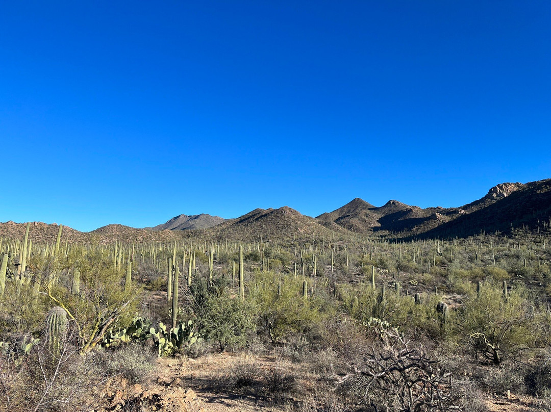 Red Hills Visitor Center-图森必去景点