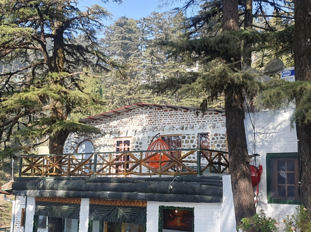 Light Of Landour
