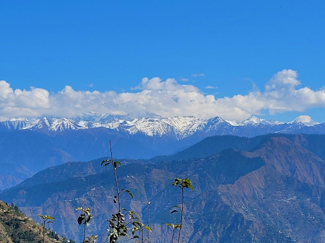 Dainkund Peak Trek景点图片