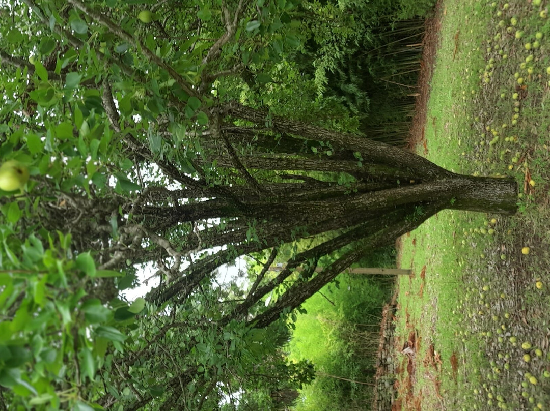 Casa de Davi Canabarro-Santana do Livramento必去景点