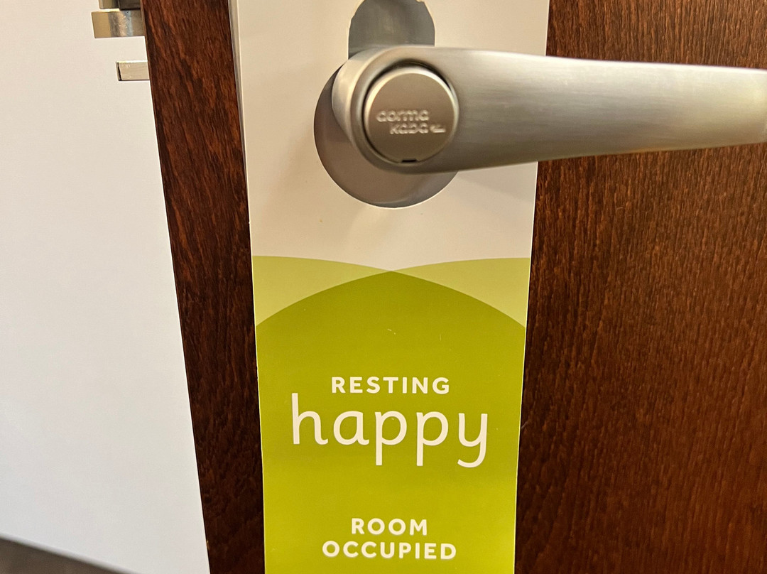 Drury Inn & Suites Charlotte Arrowood主图