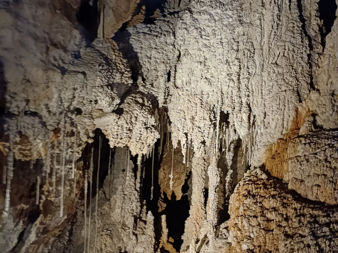 Marakoopa Cave-茉莉溪必去景点